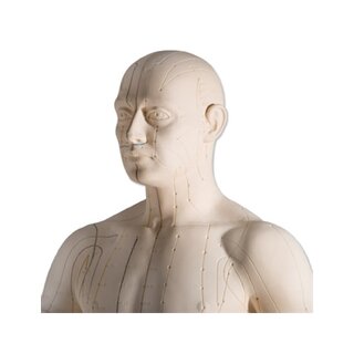 Modelo de acupuntura 70 cm para uso profissional