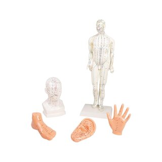 Conjunto de acupuntura chinesa, 5 modelos