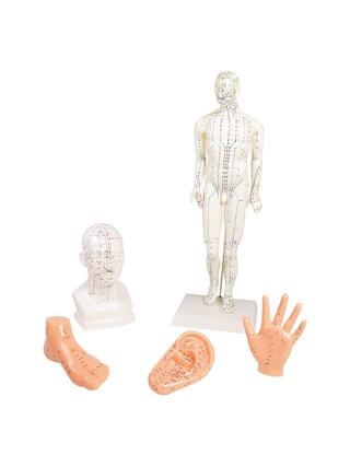 Conjunto de acupuntura chinesa, 5 modelos