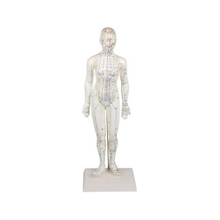 Figura de acupuntura chinesa, feminina