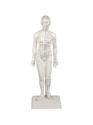 Figura de acupuntura chinesa, feminina