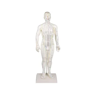 Figura de acupuntura chinesa, homem