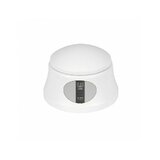 Removedor de verniz com vapor - Rid