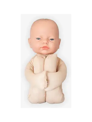 Modelo fetal Modelo anatômico
