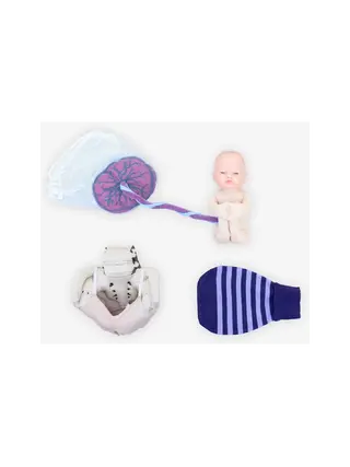 Pacote de treinamento 1A para parteiras - Conjunto de modelo fetal - Branco