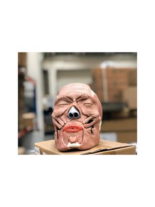 Crânio adulto com músculos faciais removíveis em 38 partes