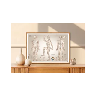 Cartaz de acupuntura pontos de acupuntura - 100x70 cm