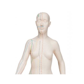 Modelo de acupuntura 70 cm - Mulher
